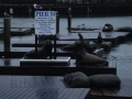 Fisherman's Wharf